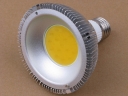 8W High Power COB LED Downlight -Warm White